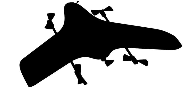 SkySentinel Sarvatra